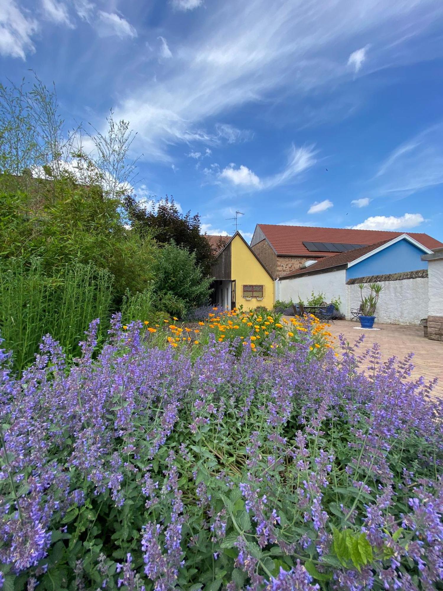 Relais Du Dompeter Bed & Breakfast Molsheim Eksteriør bilde