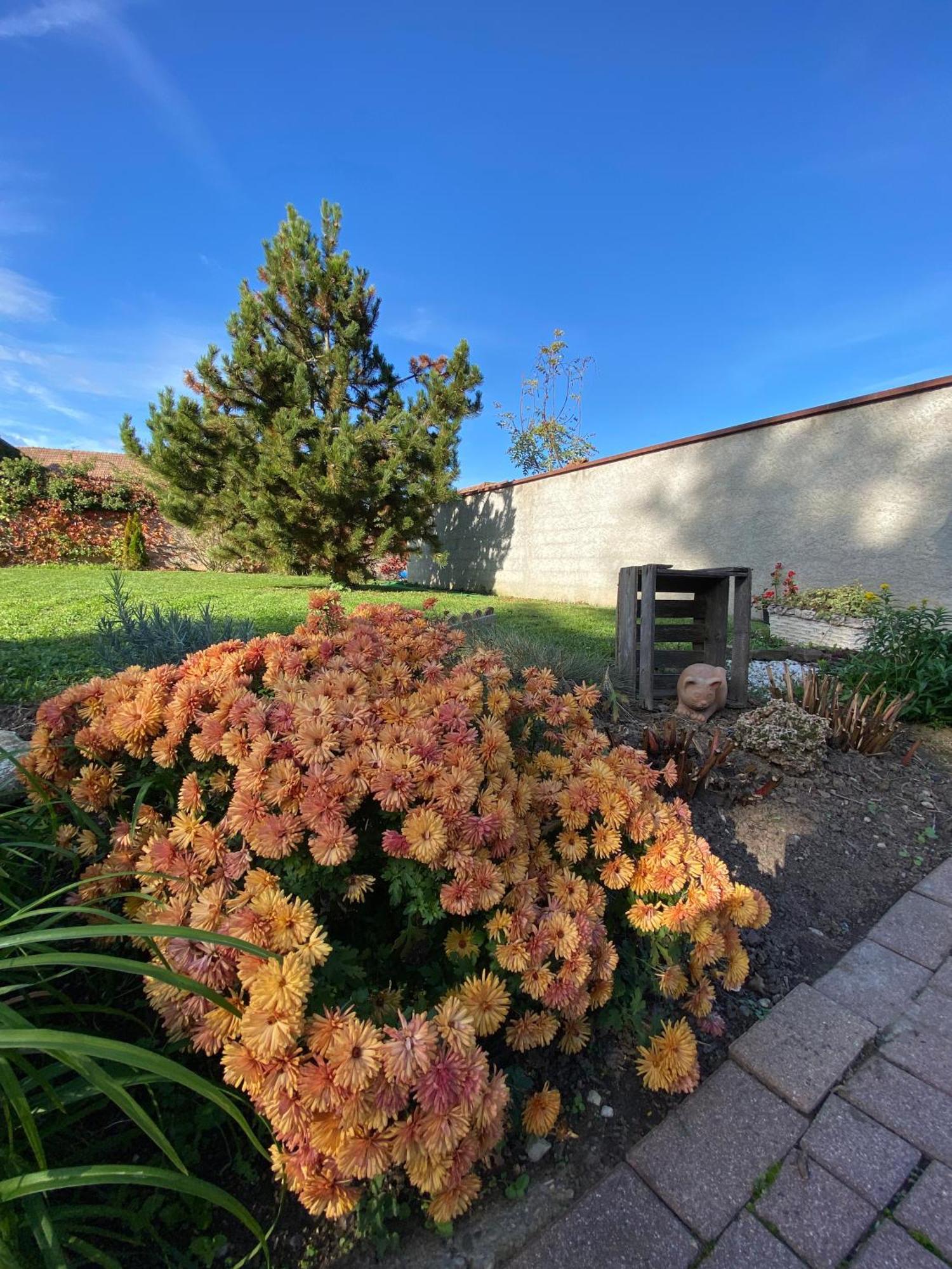 Relais Du Dompeter Bed & Breakfast Molsheim Eksteriør bilde